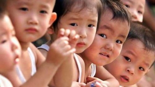 Đơn xin cắt cơm bán trú có thời hạn